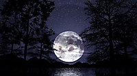 98273788cc33d9e6_lake-at-night-with-moon-wallpaper-2.jpg