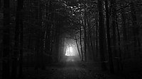 99b366c86666cc8e_Amazing-Dark-Forest-Wallpaper-HD.jpg