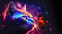 cde63139487f3c18_cat-colorful-background-digital-art-4k-wallpaper-uhdpaper.com-531@0@i.jpg