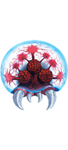 mf_metroid.png