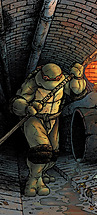 00_idw_tmnt_don_cover.jpg