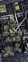 00_idw_tmnt_leo_cover.jpg