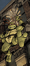 00_idw_tmnt_mike_cover.jpg