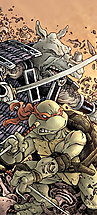00_idw_tmnt_usagi_color3.jpg