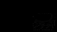 skeleton_of_a_cat_diagram_ver_2.png